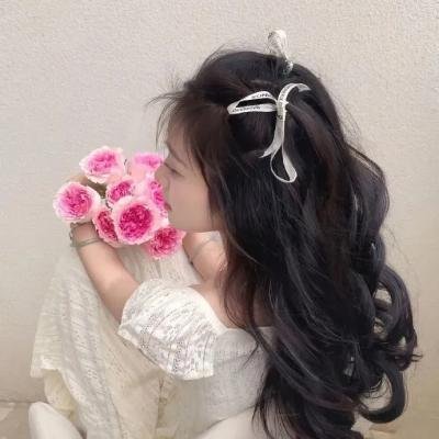 吹梦无踪